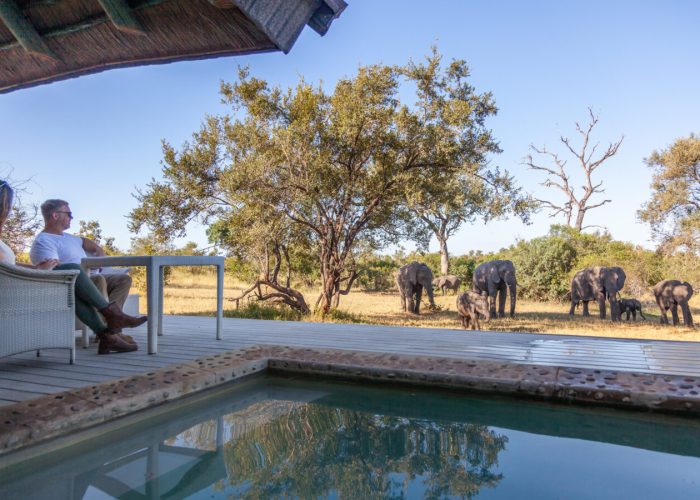 leopard-hills-mvr-2024-accommodation-suite-02-1350x900